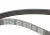 Комплект ремня генератора DAYCO KPV634 (фото 3)