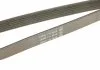Роликовый модуль натяжителя ремня (ролик, ремень) DAYCO KPV436 (фото 5)