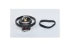 Термостат Ford Fiesta, Focus, Fusion, Mondeo 1.4, 1.6 (04-)(10-) / Opel Kadett E/Mazda 2 (03-07) Asam ASAM 73379 (фото 1)