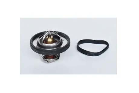 Термостат Ford Fiesta, Focus, Fusion, Mondeo 1.4, 1.6 (04-)(10-) / Opel Kadett E/Mazda 2 (03-07) Asam ASAM 73379