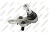 TOYOTA Шаровая опора нижн.прав.Camry 01-,Previa,Lexus RX 300/400 03- TEKNOROT T-185