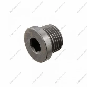 FEBI BMW Пробка масляного поддона FEBI BILSTEIN 48896