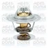MEATDORIA VW Термостат 87°C Audi 80,100,A3/4/6,Caddy II,III,Golf II,III,IV,V,Passat,T4/5,Skoda Fabia I,II,Octavia I,II,Roomster,SuperB MEAT&DORIA 92125 (фото 1)