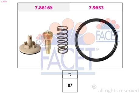 1 880 616 Термостат FACET 7.8616