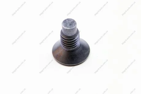 Винт тормозного диска RENAULT 7703004176