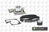 Комплект ГРМ (+помпа) Kangoo/Laguna/Megane/Scenic/Duster 1.5dCi 09- BGA TB7320CPK-2