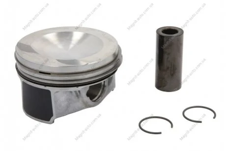Поршень 82,51 (STD) AUDI A3, Q2, Q3, TT CUPRA ATECA SEAT LEON, LEON SC, LEON ST SKODA SUPERB III VW ARTEON, ARTEON SHOOTING BRAKE, GOLF VII, PASSAT ALLTRACK B8, PASSAT B8, T-ROC 2.0 11.12- KOLBENSCHMIDT 41533600