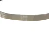 Ремінь поліклиновий Contitech 8PK1310EXTRA (фото 3)