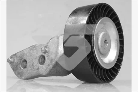 Ролик обводной AUDI A3, Q3, TT купе II, VW Jetta (05-18) Hutchinson HUTCHINSON T0653