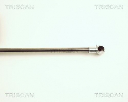Амортизатор багажника TRISCAN 8710 25225 (фото 1)