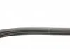 Комплект паса поликлинового Renault Clio/Megane/S Contitech 5PK1135K1 (фото 2)