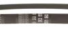 Пас поліклиновий 6РКХ1003 BMW 11287618848 (фото 3)