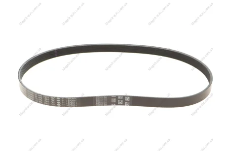 Пас поліклиновий 6РКХ1003 BMW 11287618848
