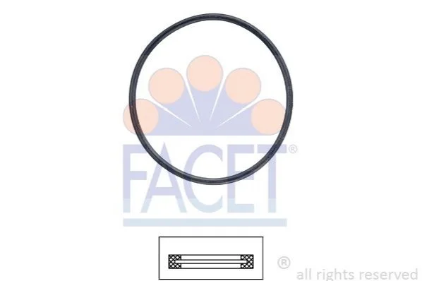 Прокладка термостата FACET 7.9705 (фото 1)