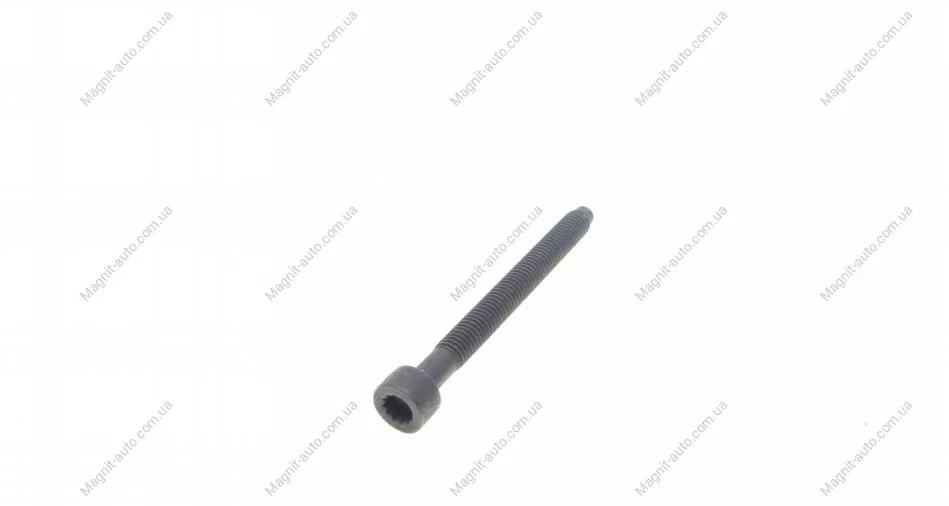 Болт кріплення форсунки AUTOTECHTEILE 310 3016 (фото 1)