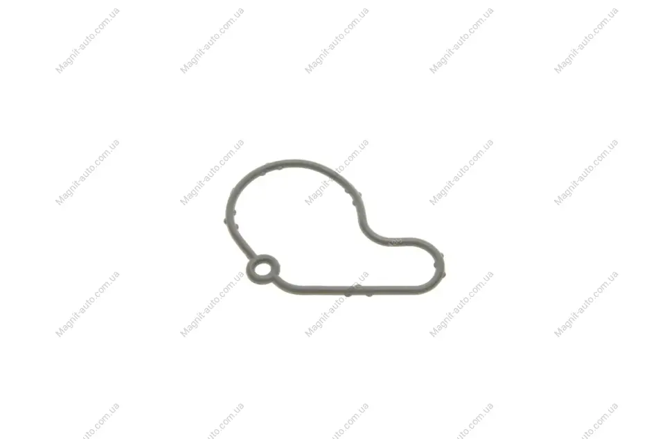 Прокладка вакуумного насоса Skoda Fabia (00-08),Octavia (97-11)/VW Caddy (96-03),Golf (96-03),Polo (02-10) VIKA Vika 61450807001 (фото 1)