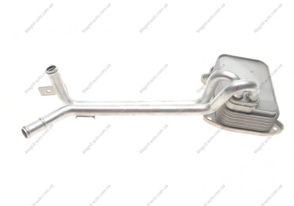 Радіатор масляний Skoda Fabia (11-), Octavia (09-) / VW Golf (04-), Jetta (06-11), Passat (08-11), Polo (10-), Tiguan (08-11) VIKA Vika 11170543701 (фото 1)