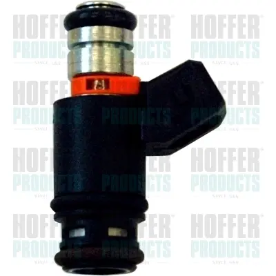 Клапанная форсунка HOFFER Hoffer H75112022 (фото 1)