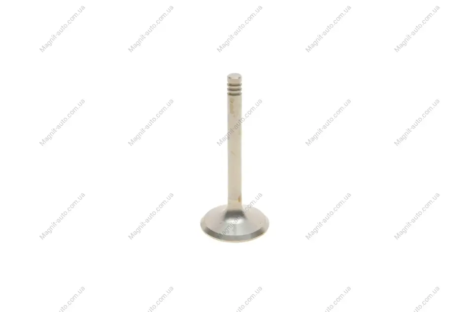 Клапан впускной VW Golf (84-98), Jetta (84-92), Passat (88-97), T4 (91-04) / Seat Ibiza (93-96), Toledo (92-96) VIKA Vika 11090177201 (фото 1)
