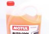 Концентрат антифризу G12+ Motul 818106 (фото 1)