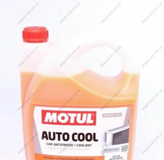Концентрат антифризу G12+ Motul 818106