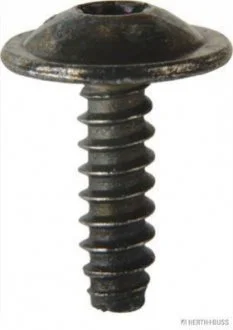Болт з фігурною головкою Herth+buss elparts 50267065
