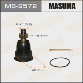 Masuma MB9572 (фото 1)