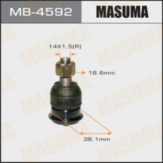 Masuma MB4592 (фото 1)