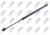 Амортизатор багажника Scenic2/Grand Scenic2 520mm NTY AE-RE-009 (фото 1)