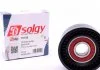 Ролик натяжной ремня генератора Solgy 110176 (фото 1)