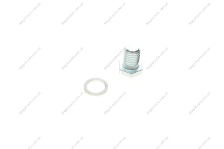 Болт зливу оливи + шайба Aic 56282