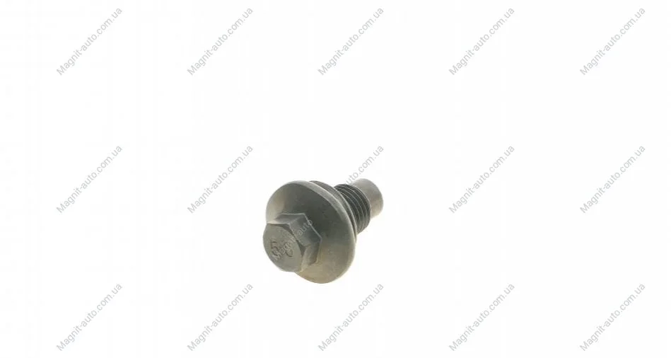 Болт зливу олії + шайба Aic 52110 (фото 1)