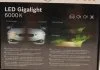 Лампа (2шт.) Duobox LED Gigalight PGJ19 (H8) 12В 30Вт - НЕ поставляется BOSCH 1987301558 (фото 7)