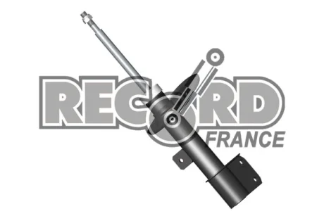 Record Амотризатор GAS передній лівий ЦІНА за 1 шт.УПАК.по 2 шт.(+334676) RECORD 334675
