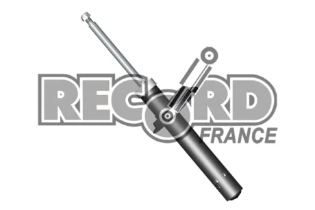 Record Амотризатор GAS передній ЦІНА за 1 шт.УПАК.по 2 шт.(лівий+правий) RECORD 333919