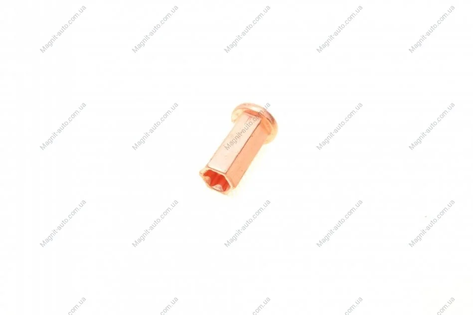 Гайка колектору BMW N54 \'\'06-13 ELRING 593.260 (фото 1)