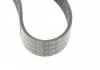 Ремень (поликлиновый) HUTCHINSON 1817 K 7 (фото 4)