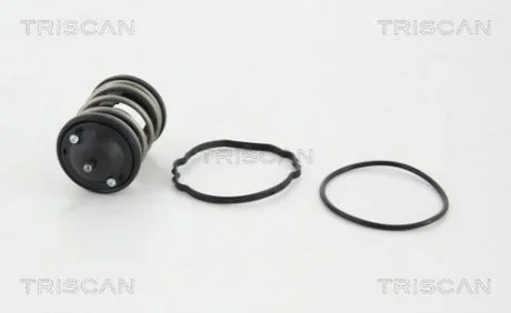 Термостат TRISCAN 8620 43287