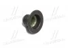 Сальник клапана IN/EX OPEL Z22SE 2,2 16V D1 6mm D2 10mm D3 25mm висота 16mm (вир-во Corteco) CORTECO 49472876 (фото 3)
