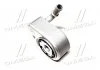 Радіатор масляний Ford Focus1.6i (вир-во AVA) AVA COOLING FD3622 (фото 4)