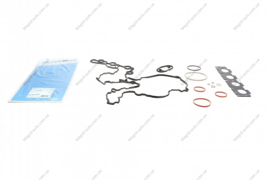 Комплект прокладок двигателя VICTOR REINZ 02-11411-02 (фото 1)