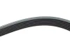 Ремінь (поліклиновий) HUTCHINSON 1642 K 6 (фото 4)