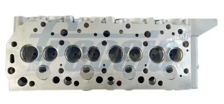 Головка блоку двигуна FRECCIA CH17-1001