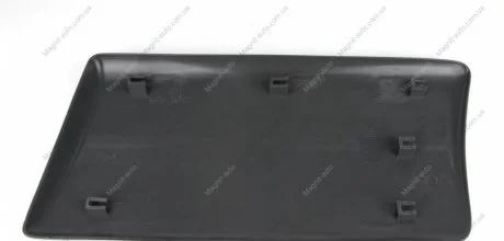 Молдинг кузова Rotweiss RWS1165