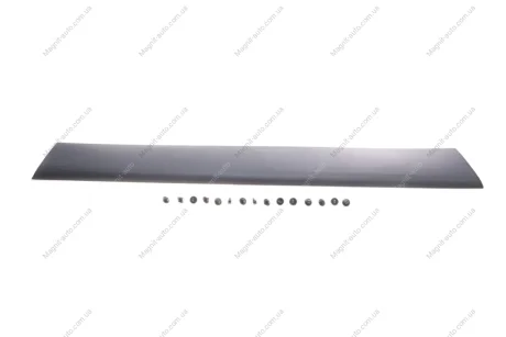 Молдинг кузова Rotweiss RWS1161