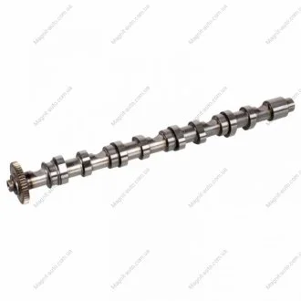FEBI VW Распредвал Audi A1/3/4/5/6,Q3/5,Amarok,Caddy III,IV,Crafter,Golf V,VI,Passat,T5,Tiguan,Touran,Skoda Fabia II,Octavia II 1.6/2.0TDI FEBI BILSTEIN 171969