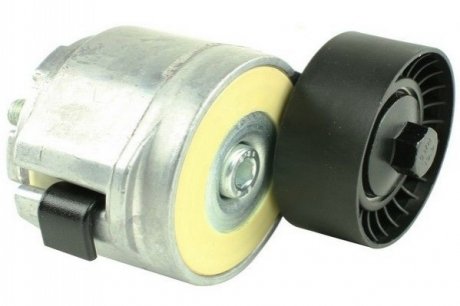 Натяжник паска Fiat, Opel 1.6D Multijet-2.0D Multijet 01.04- FAST FT44617