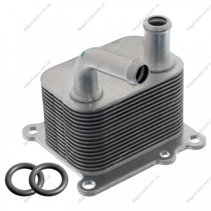 FEBI FORD Масляний радіатор + прокладки C-Max,Fiesta IV,Focus,Galaxy,Mondeo IV,Transit Connect 1.8TDCi 02- FEBI BILSTEIN 170177 (фото 1)