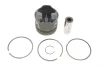 Поршень RENAULT 120A17699R (фото 1)
