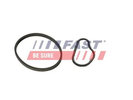 Комплект прокладок вакуумного насосу Citroen Berlingo (08-) 1.6 HDI/BLUEHDI Fast FAST FT48943